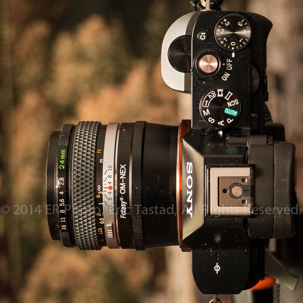 カメラ OLYMPUS - OLYMPUS ZUIKO 24mm F2.8の通販 by キウイ's shop